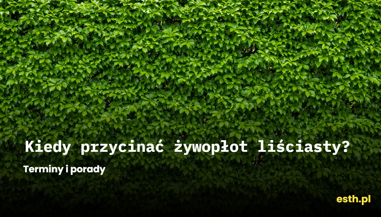 Kiedy przycinać żywopłot liściasty? Terminy i porady